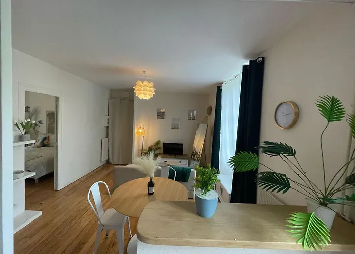 Cosy Amber - T3 - Place Verdun & Parking Pau